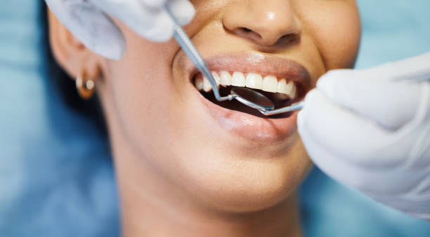 Best Emergency X-Rays and Diagnostics in Nelsonville, OH